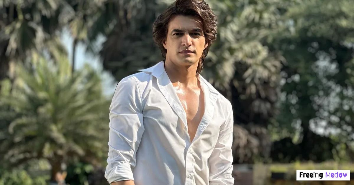 Mohsin Khan Net Worth
