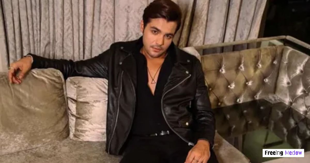 Ashish Chanchlani Net Worth in Rupees